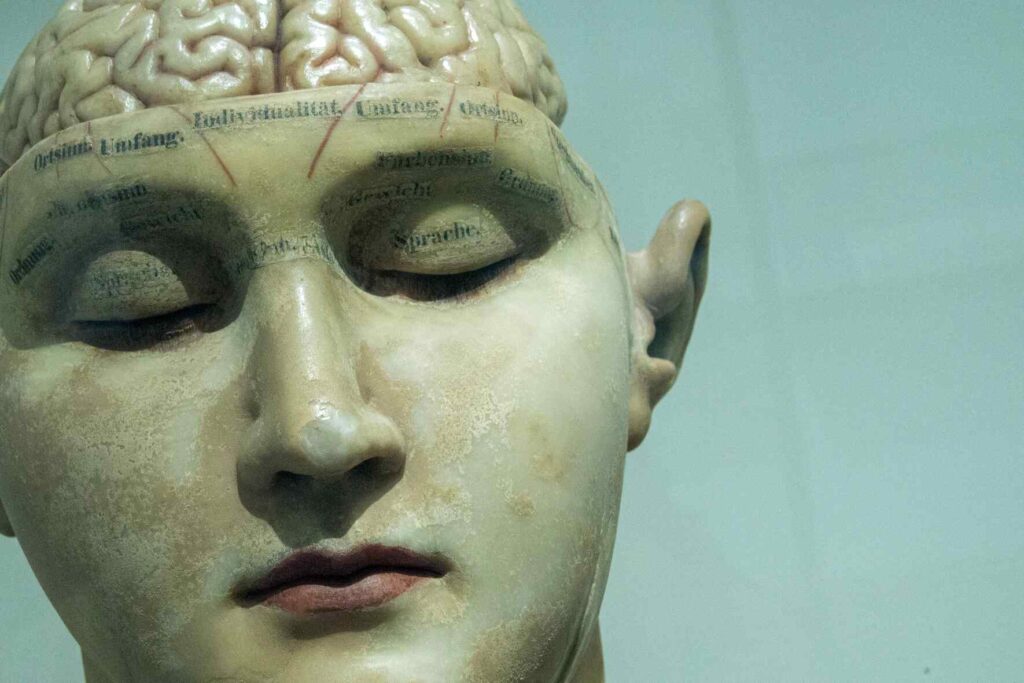 Medical dummy with exposed brain. Masturbation for pain relief