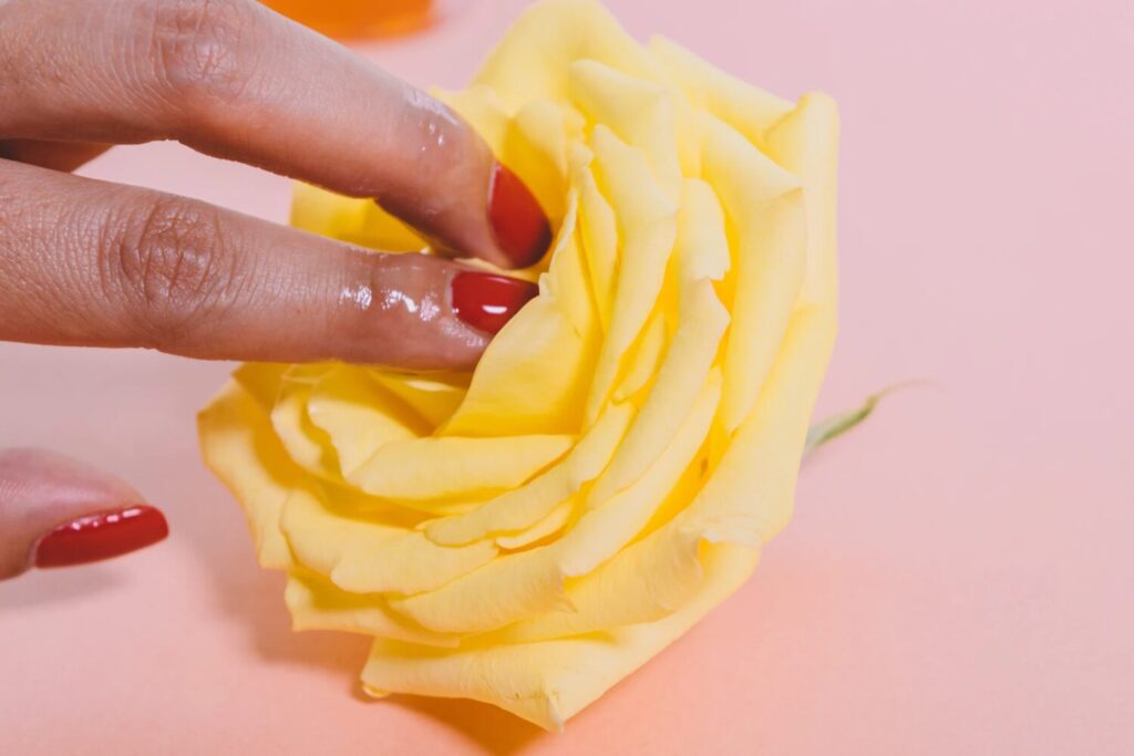 Fingers touching a yellow rose.